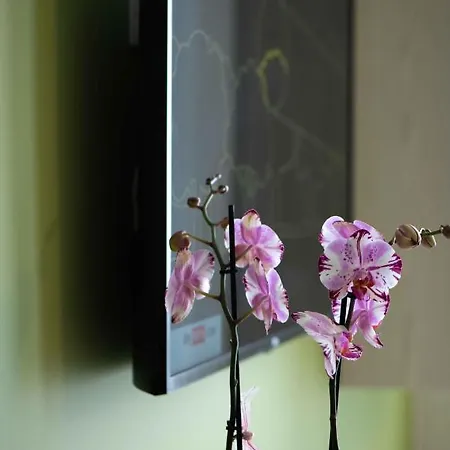 Il Melograno 西尔米奥奈